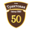 adresnaya-tablichka-ulica-traktovaya