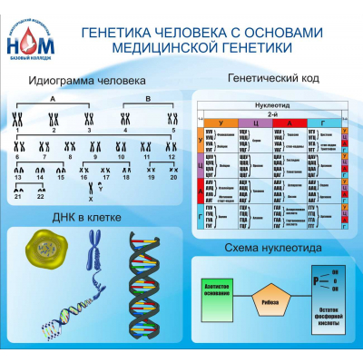 059_1300х1200 - генетика человека с основами медицинской генетики