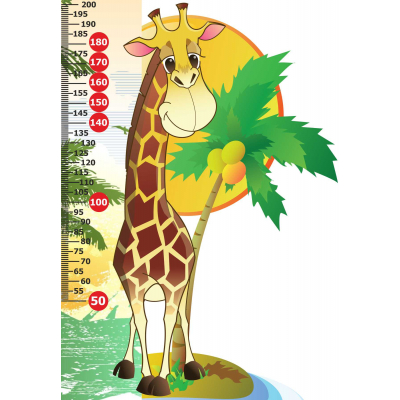 081_1405х2020 - ростомер жираф